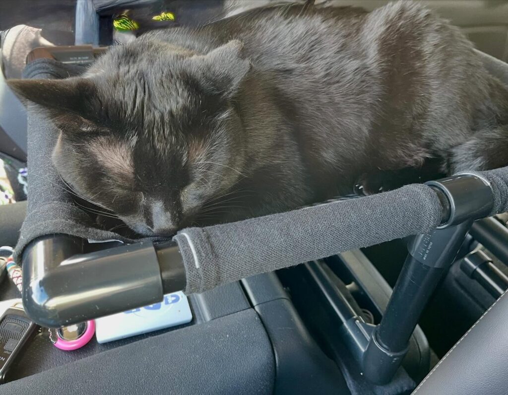 Instagram「イレクターDIYフォトコンテスト2025」結果発表！