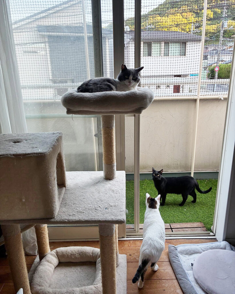 Instagram「イレクターDIYフォトコンテスト2025」結果発表！